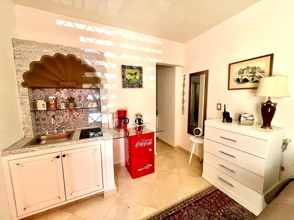 Small Pet Friendly, Pool And Gym Apartment Сан Мигел де Аленде Екстериор снимка